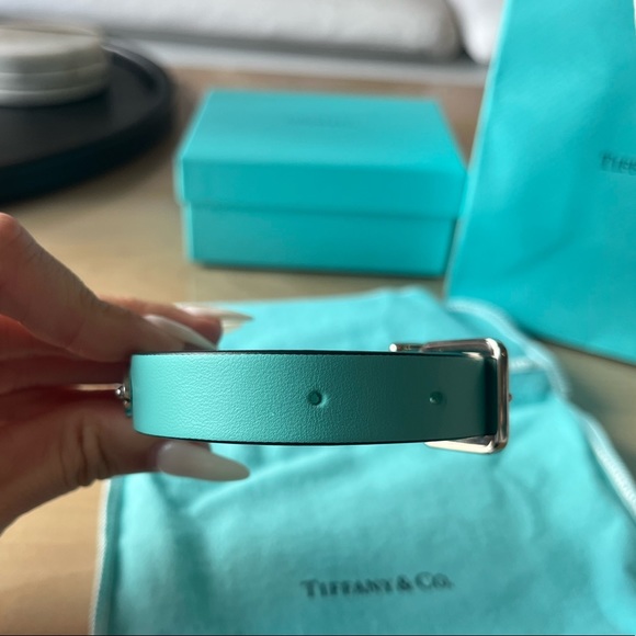 Tiffany & Co. Dog Authentic Tiffany Co Xs Tiffany Blue Leather Dog